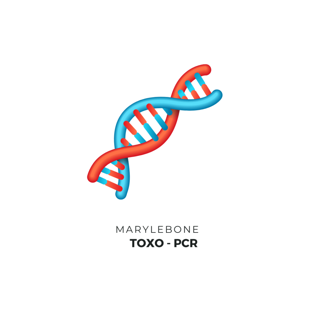 Toxo - PCR